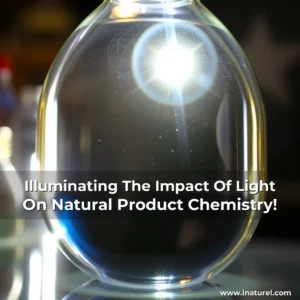 Artistic representation for Illuminating The Impact Of Light On Natural Product Chemistry!